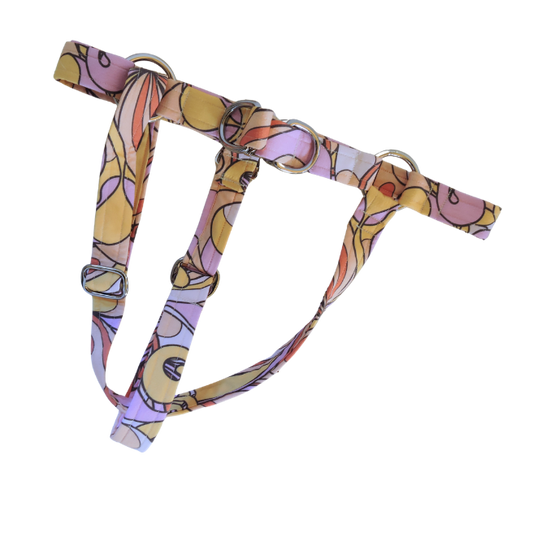 Swirls For The Girls Harness