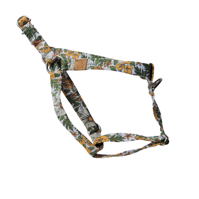 Wildbloom Harness