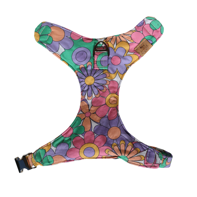 Groovy Girl Padded Harness