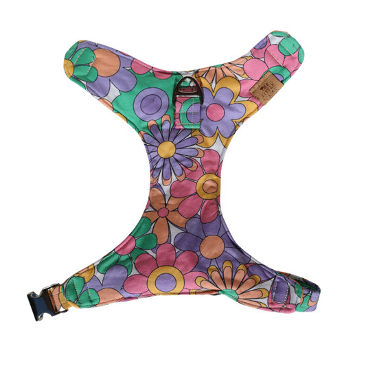 Groovy Girl Padded Harness