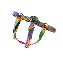 Load image into Gallery viewer, Groovy Girl Harness
