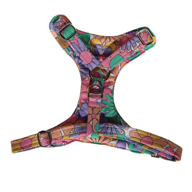 Groovy Girl Padded Harness
