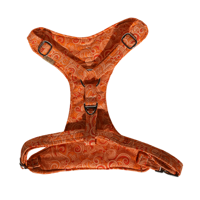 The Gracie Padded Harness