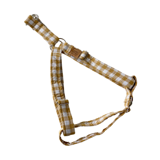 Check Yourself Harness