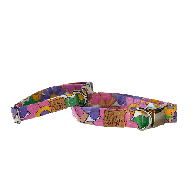 Groovy Girl Collar