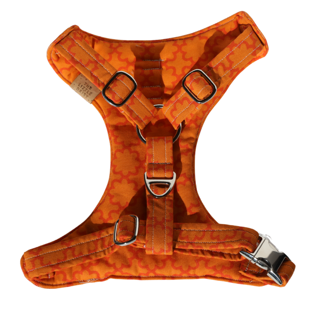That's A Vibe Padded Harness