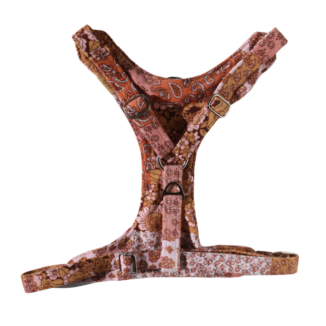 Spring Fling Padded Harness