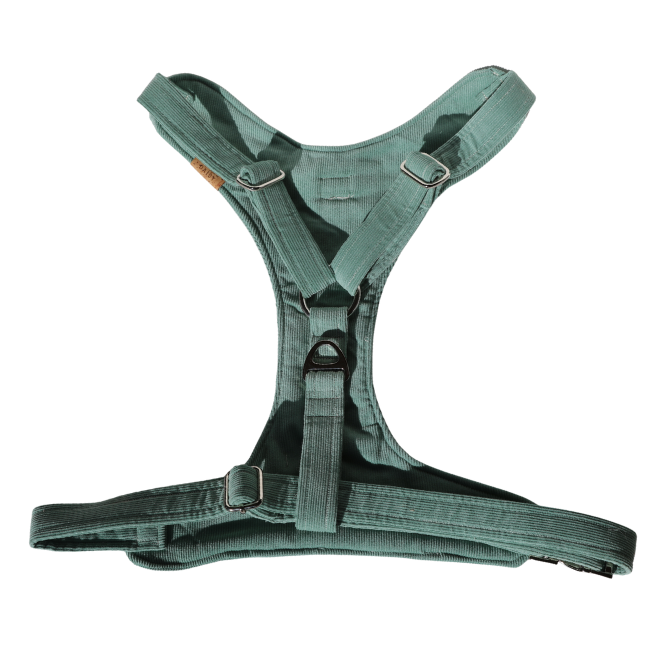 Sea Foam Padded Harness