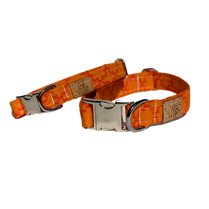 That's a Vibe Collar