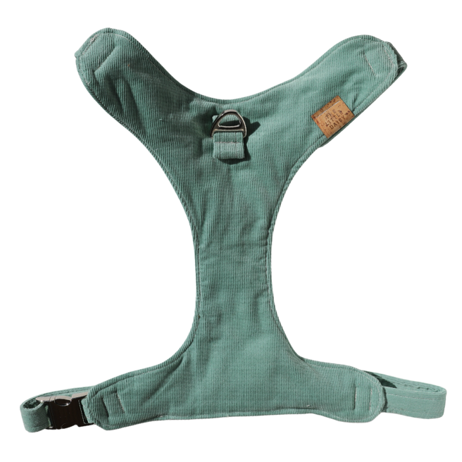Sea Foam Padded Harness