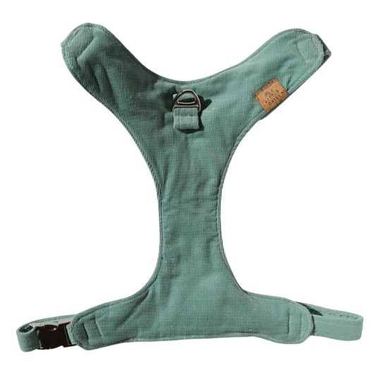 Sea Foam Padded Harness