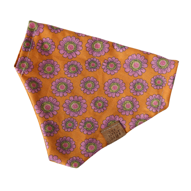 Tasty Tangerine Bandana