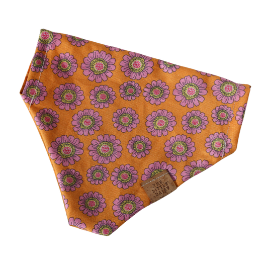 Tasty Tangerine Bandana