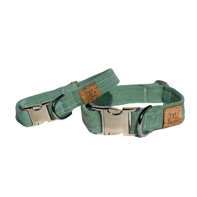 Sea Foam Collar