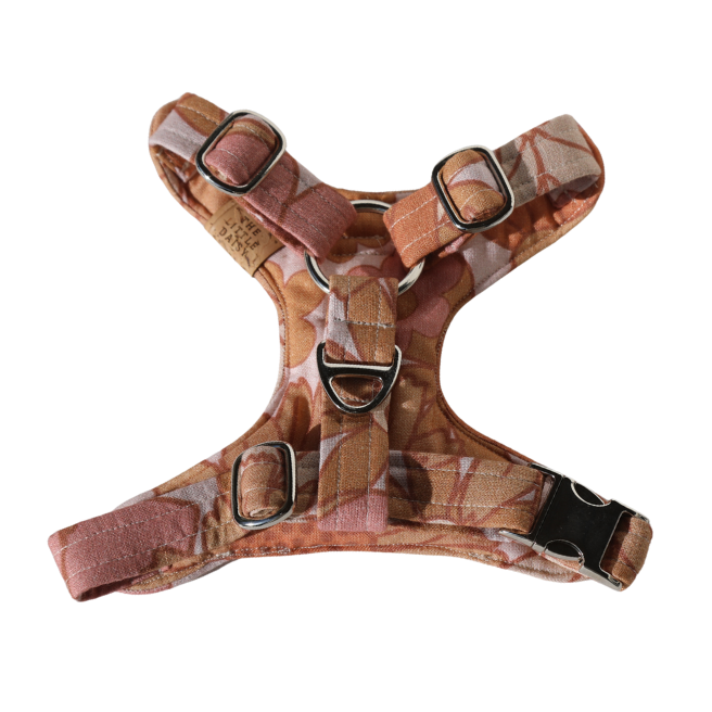 The Bindi Padded Harness