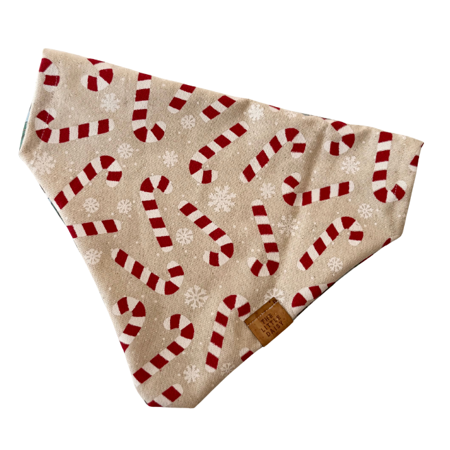 Candy Cane Cutie Christmas Bandana
