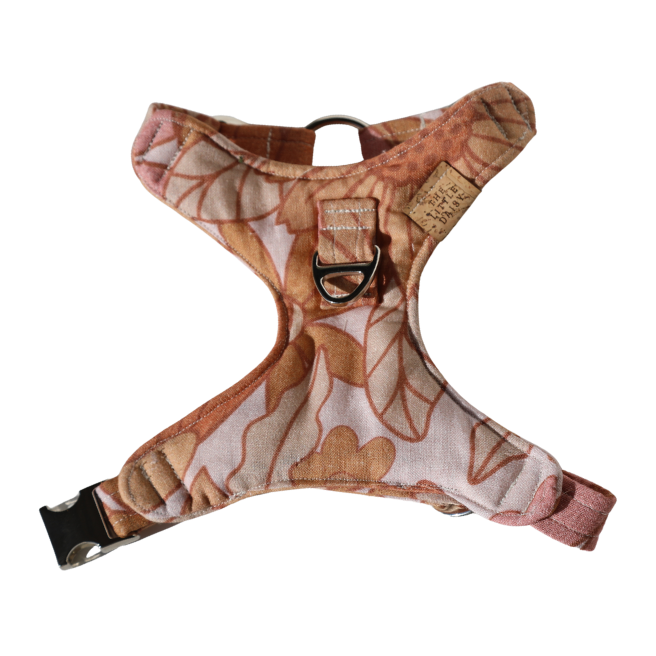 The Bindi Padded Harness