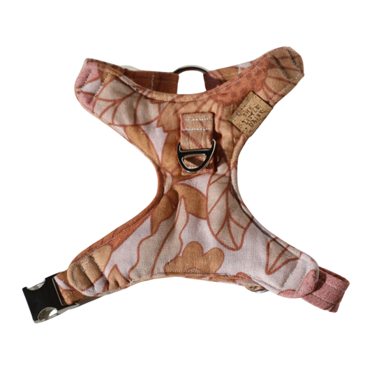 The Bindi Padded Harness