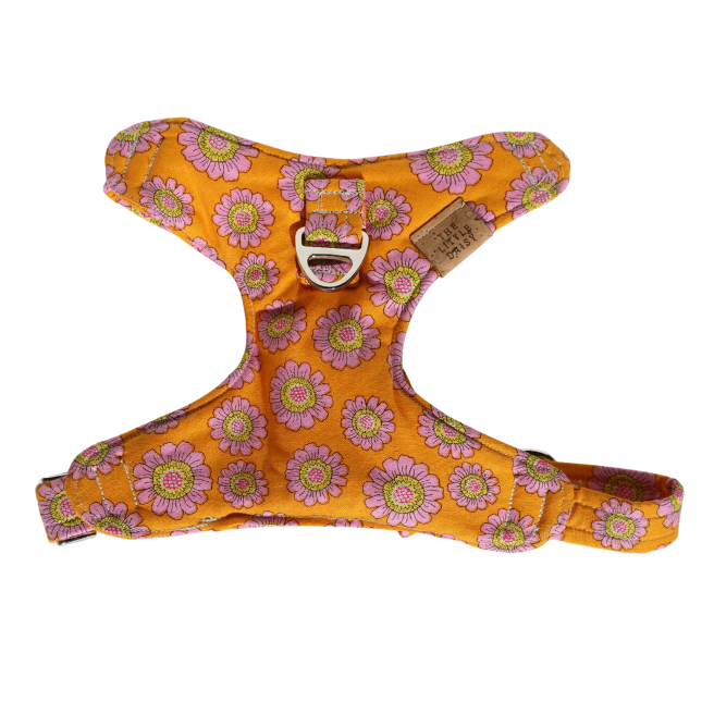 Tasty Tangerine Padded Harness