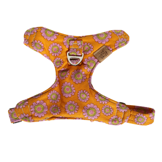 Tasty Tangerine Padded Harness