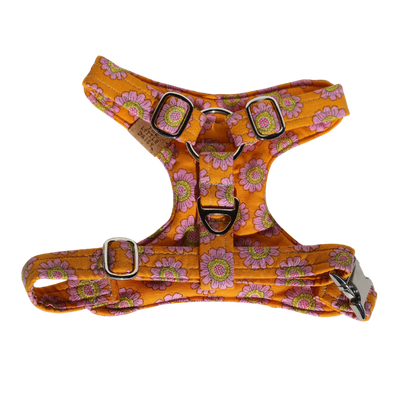 Tasty Tangerine Padded Harness
