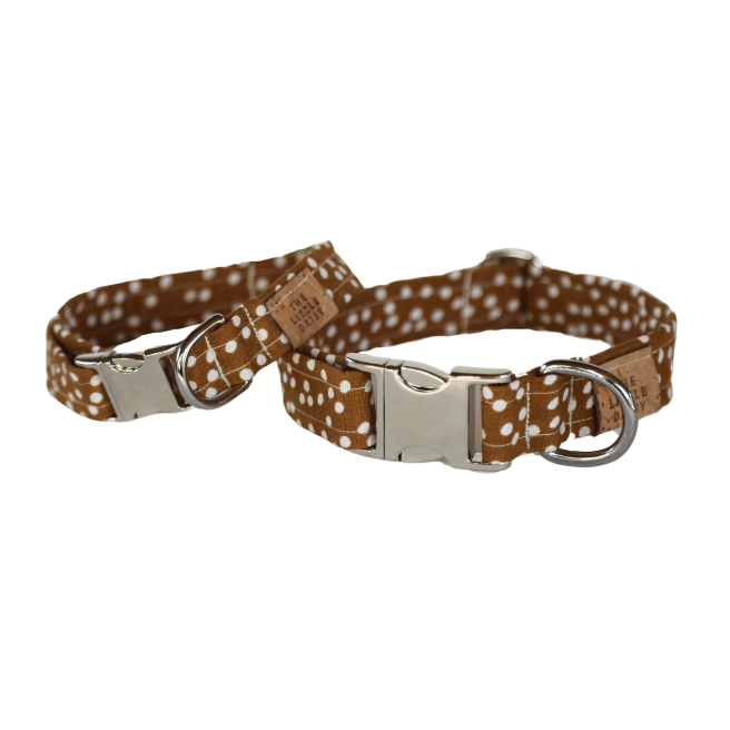 Polka Paws Collar