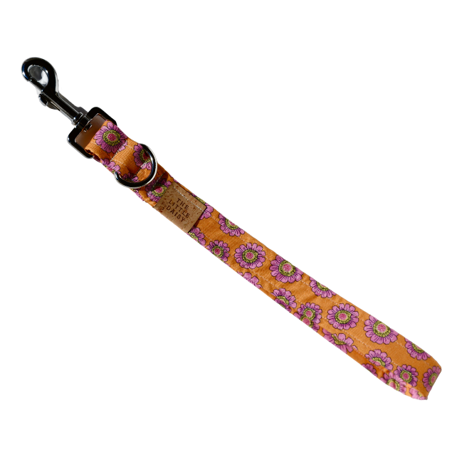 Tasty Tangerine Traffic Lead
