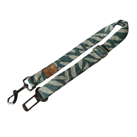 Sage Car Restraint