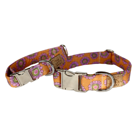 Tasty Tangerine Collar