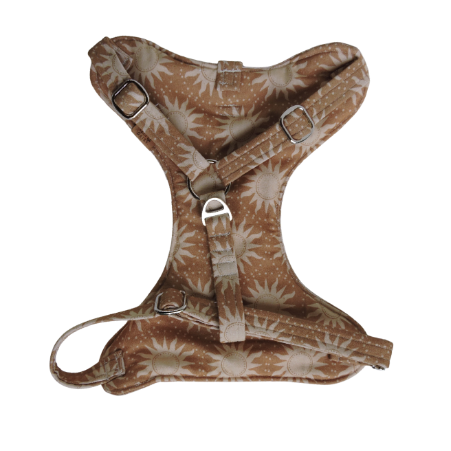 Here Comes The Sun Padded Harness