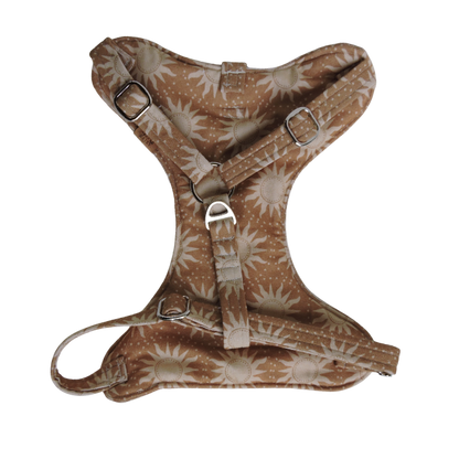 Here Comes The Sun Padded Harness