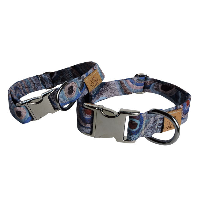 Ocean Eyes Collar