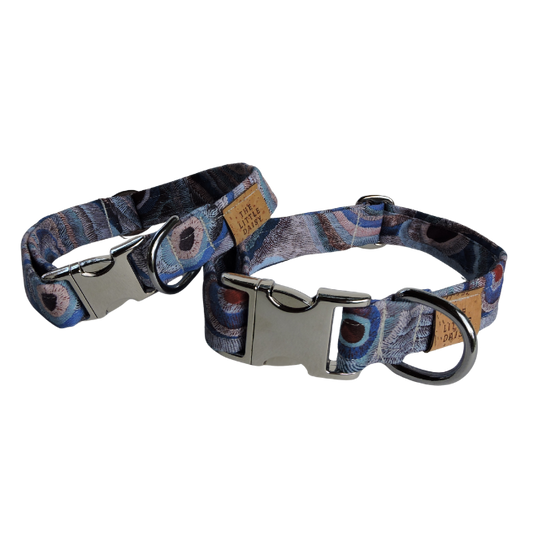 Ocean Eyes Collar