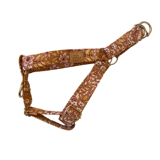 All About Autumn Harness