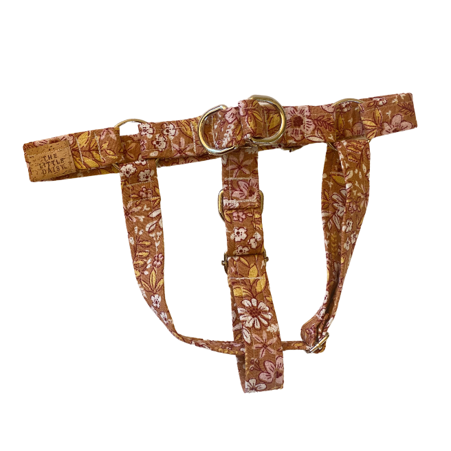 All About Autumn Harness