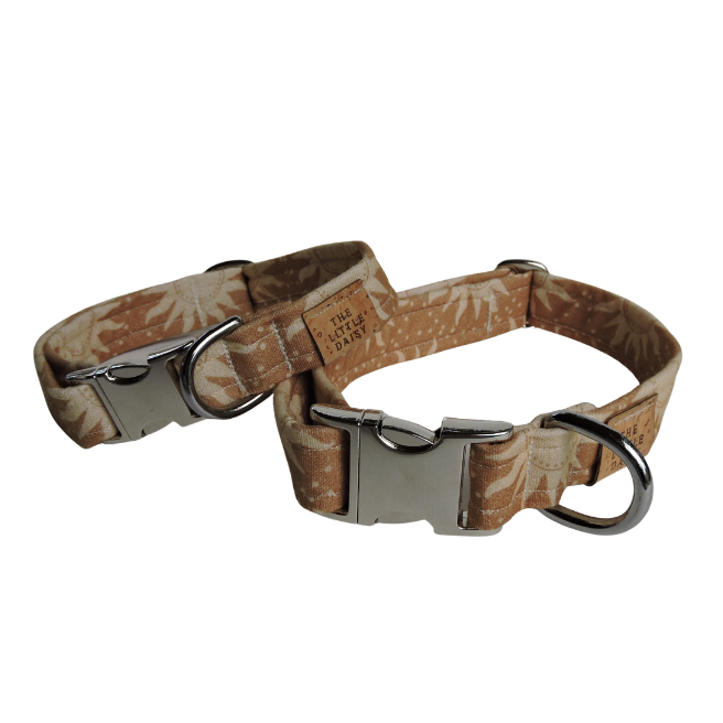 Here Comes The Sun Collar
