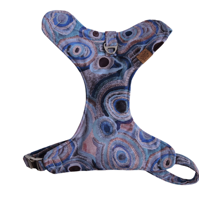 Ocean Eyes Padded Harness