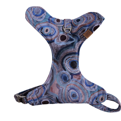 Ocean Eyes Padded Harness