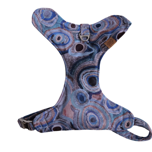 Ocean Eyes Padded Harness