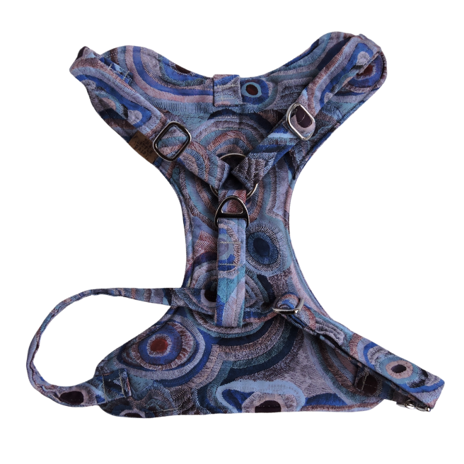 Ocean Eyes Padded Harness