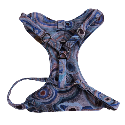 Ocean Eyes Padded Harness