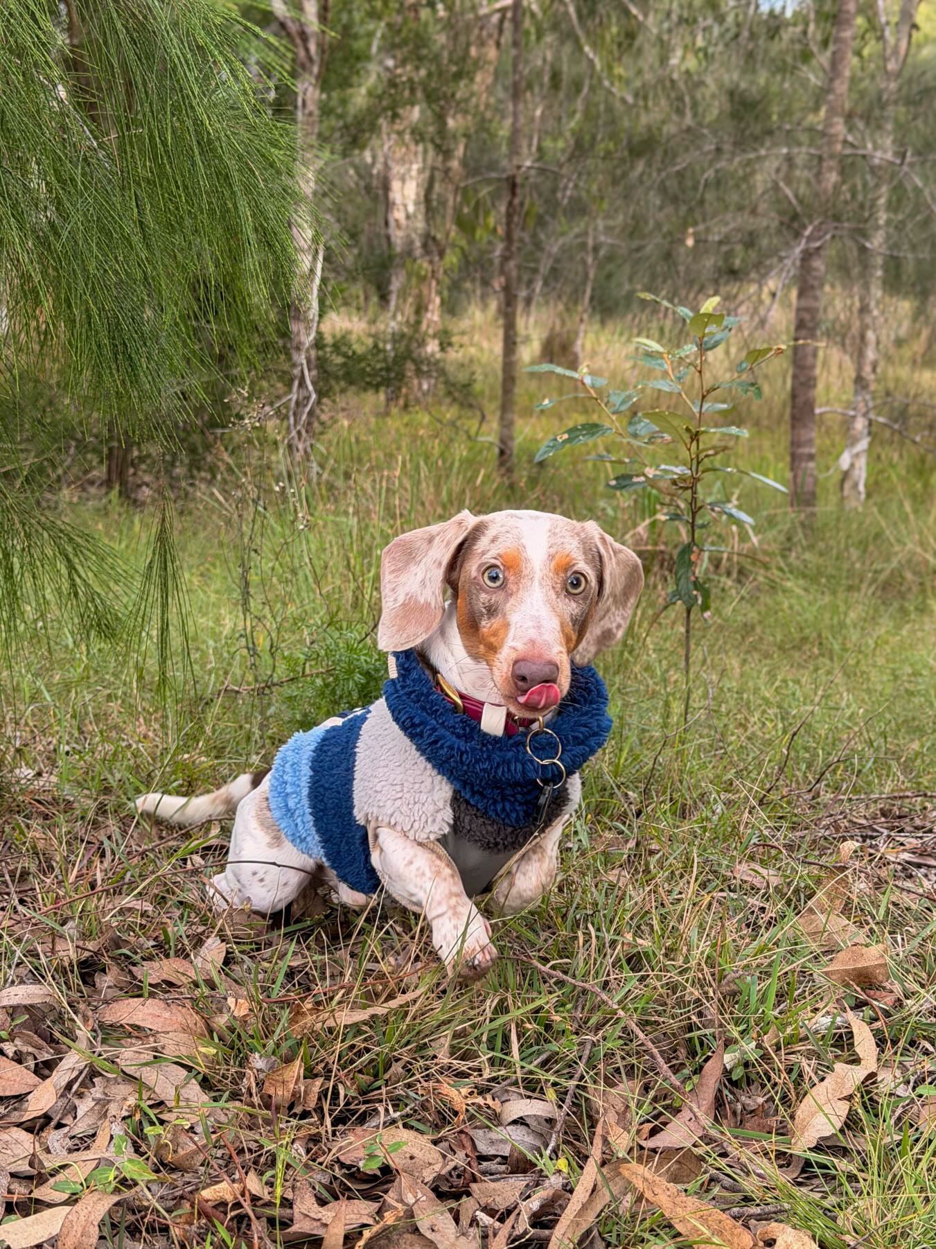 Drift Sherpa Jacket