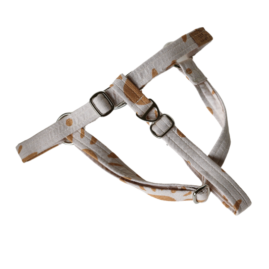 Golden Days Harness