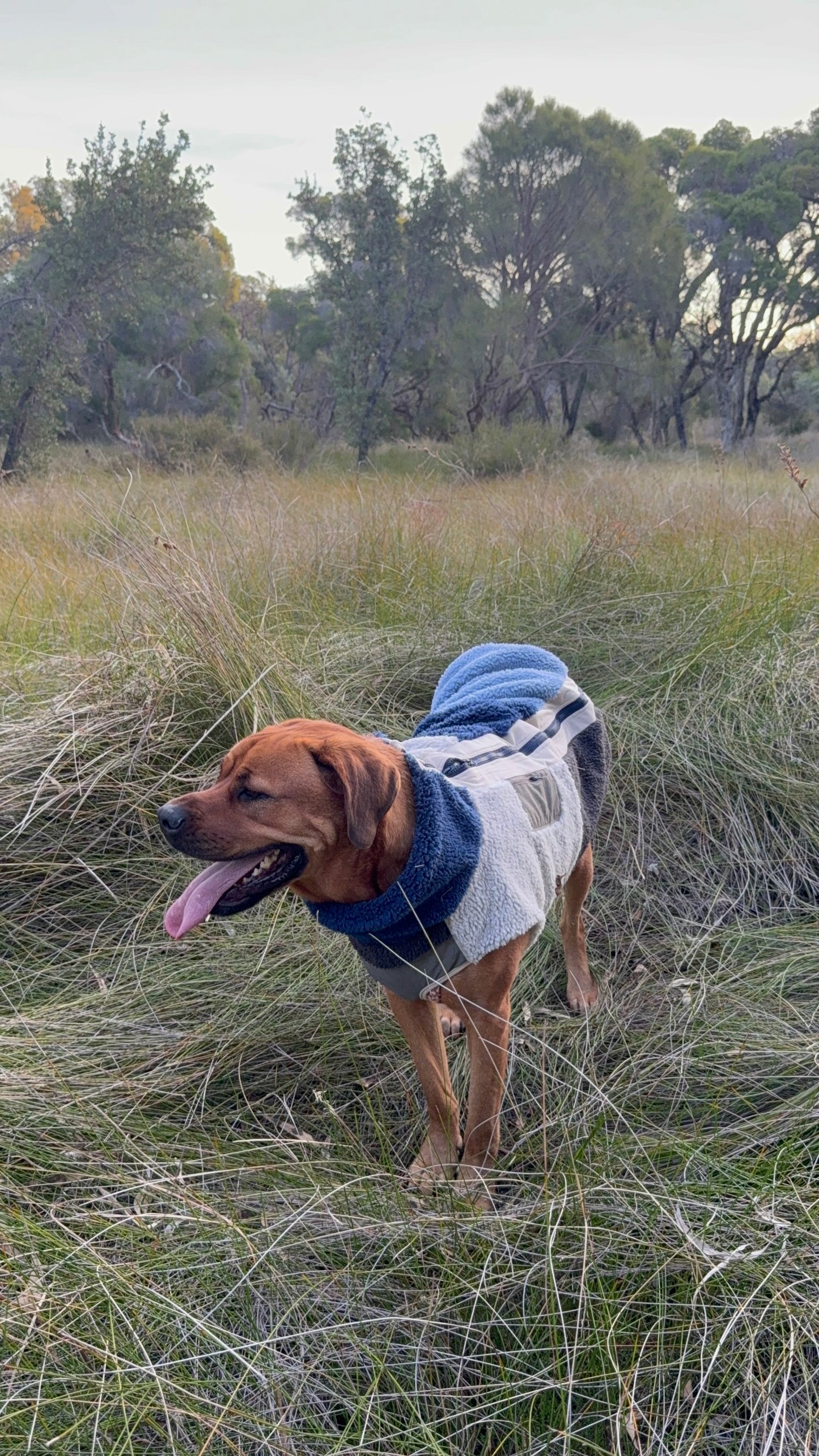 Drift Sherpa Jacket