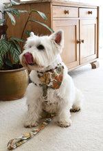 Load image into Gallery viewer, Boho Babe Harness

