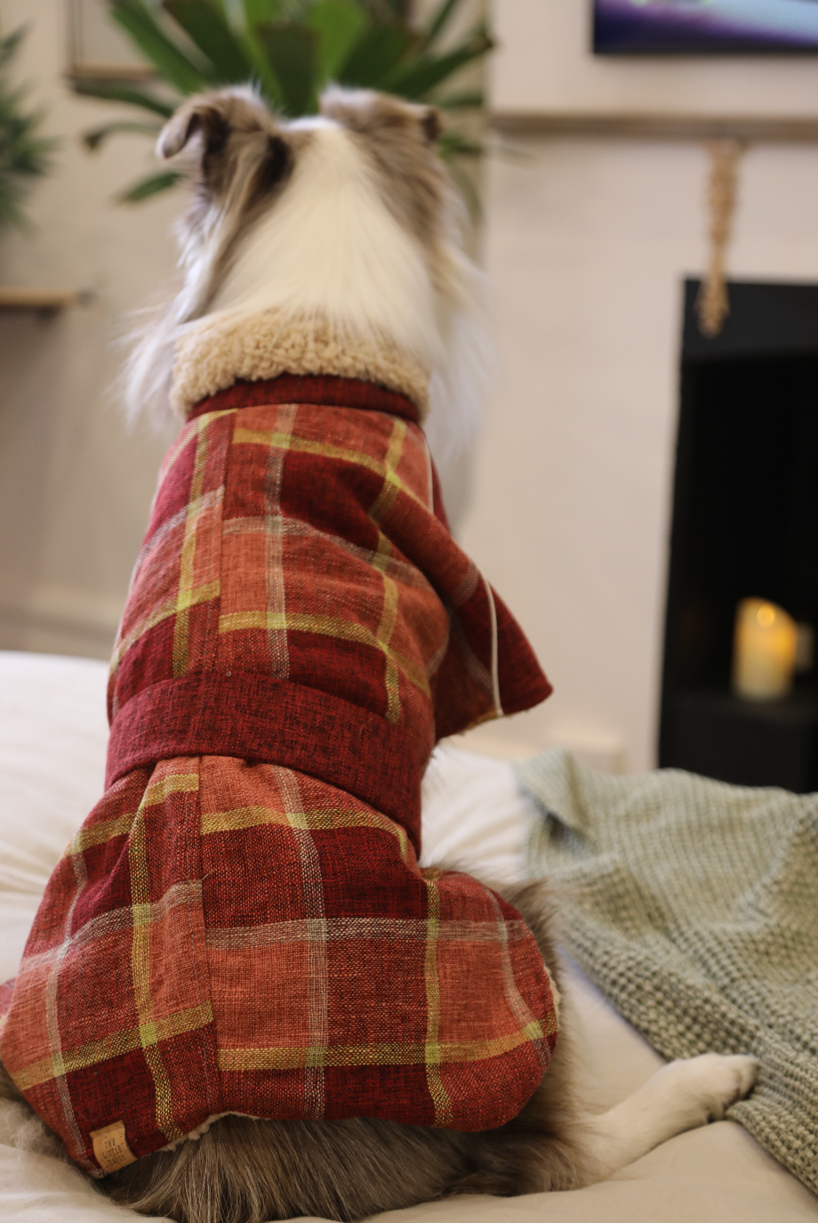 Rosy Dog Jacket