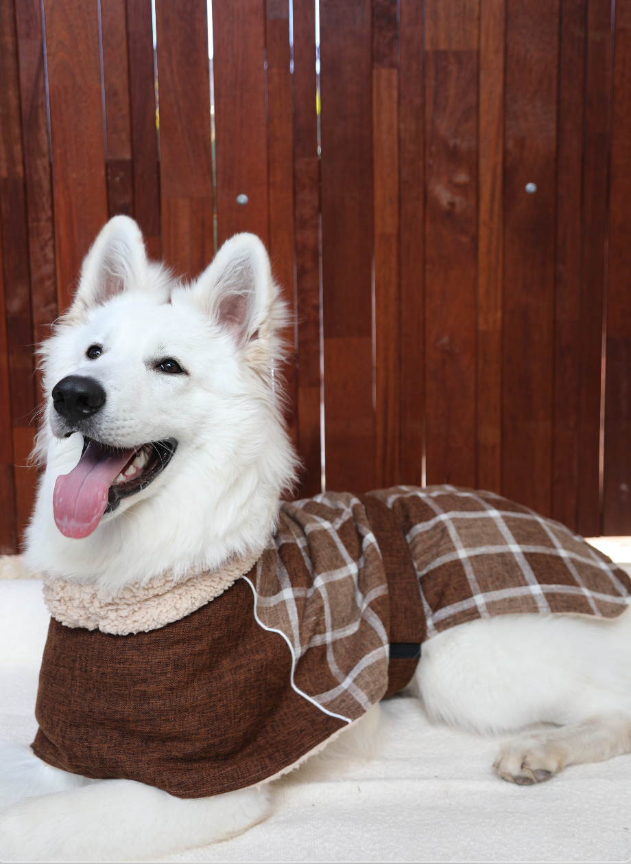 Coffee Dog Jacket